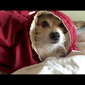 Meet your Posher, Karla